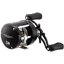 ダイワ Daiwa CLASSIC UTD 300L 未使用 釣り リール 61u7u+3RUcL._AC_UL210_SR210,